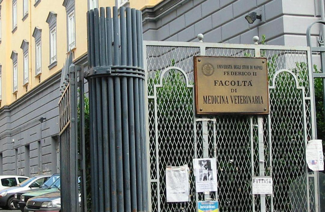 Le 3 Sorelle House * Naples